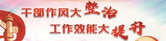 干部队伍作风大查摆大整治